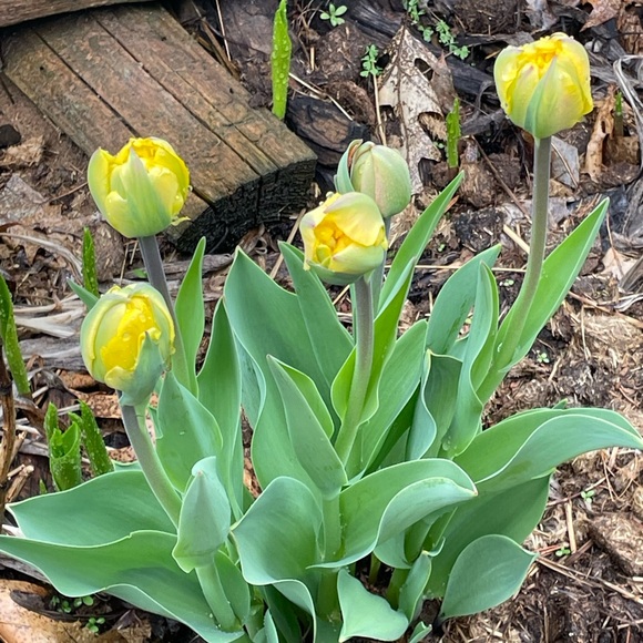 Meet your Posher, Kathy - Picture 7 of 11